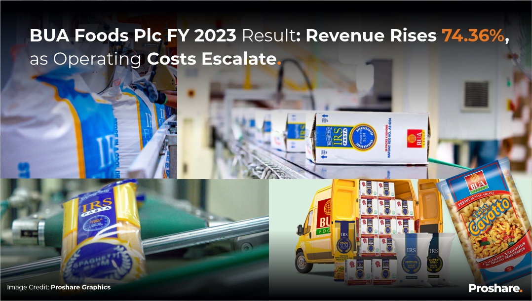 BUA Foods Plc FY 2023 Result: Revenue Rises 74.36%, as Operating Costs ...