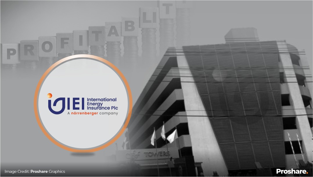 IEI Sustains Profitability Momentum Ahead of Recapitalisation Drive ...