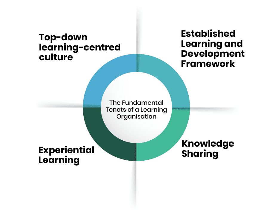Creating a Learning Culture in the Workplace: A Pathway to Success and ...