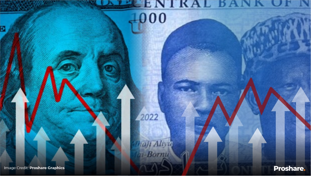 Nigeria's New Exchange Rate Regime: Of Problems and Opportunities ...