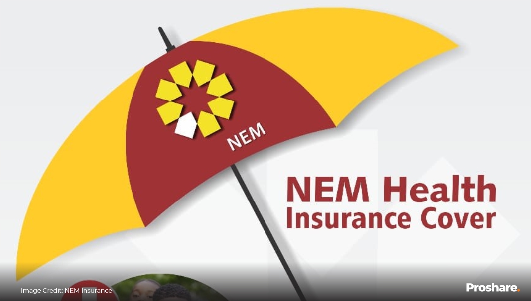 NEM Insurance Plc Declares N12.96bn PAT in FY 2023 and N10.54bn PAT in ...