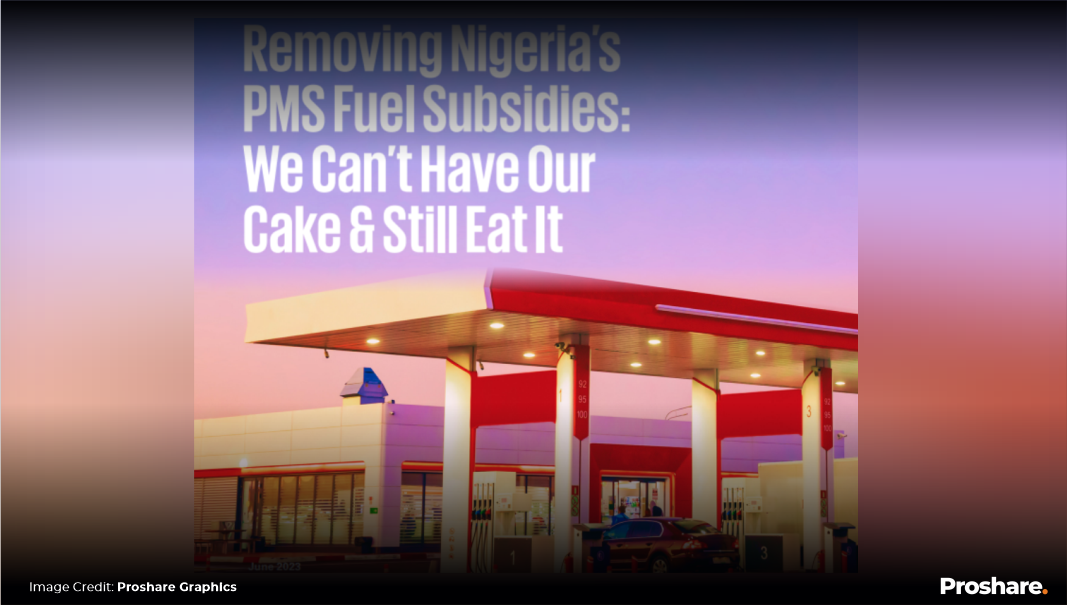 Full Report: Removing Nigeria’s PMS Fuel Subsidies: We Can’t Have Our ...